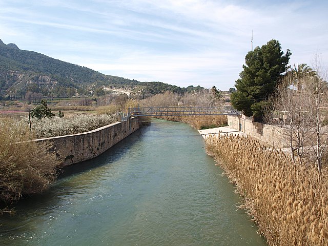 Floracin de Cieza -  El Caico - 16